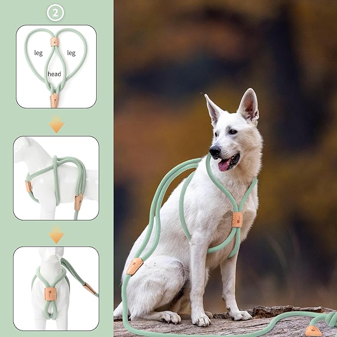 Mile High Life Harness Lead No Pull, All in one Dog Lead 2-in-1, Rope Leash and Harness Two in One, Slip Leash for Puppy Small Dogs Training, 4FT Green