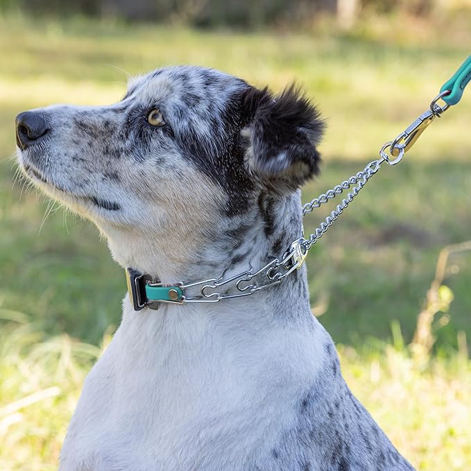 Herm Sprenger Chrome Plated Steel Dog Collar with Quick Release ClicLock Buckle and Biothane Insert Training Collar for Dogs Made in Germany (Sky Blue, 16in x 2.25mm(Neck Size up to 13-14in))