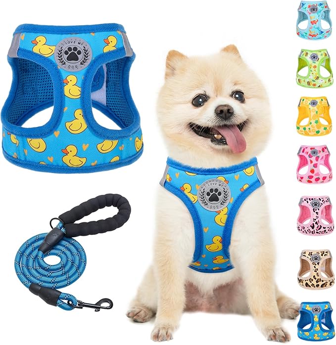 BEAUTYZOO Step in Dog Harness and Leash Set,Reflective Dog Harness No Pull No Choke Puppy Harness for Small Medium Large Dogs Cats,Soft Padded Mesh Vest Harnesses for Girl and Boy Pets, Duck Blue S