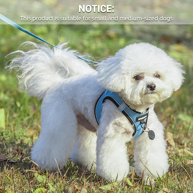 Dog Harness and Leash Set, Dog Harness for Dogs No Pull, No-Chock Step-in Reflective Breathable Lightweight Easy Walk Vest Harnesses with Safety Buckle for Small Medium Dogs, Cats (Light Blue, M)