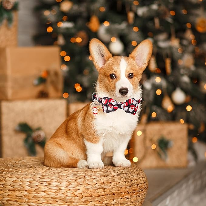 ADOGGYGO Christmas Dog Collar with Detachable Bowtie, Adjustable Red Santa Pet Christmas Bow Collars for Small Medium Large Dogs (Medium)