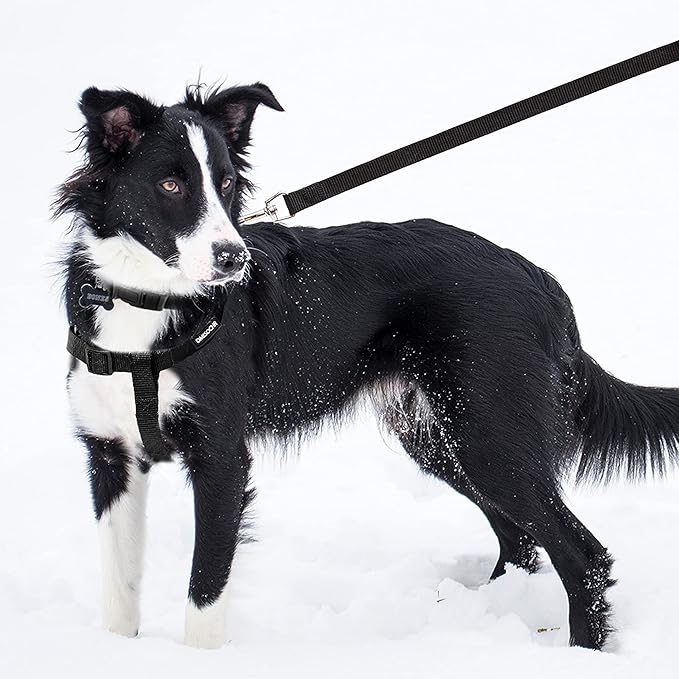 No Pull Dog Harness - Adjustable Step-in Harness & Leash Set for Small, Medium, Large Dogs - Escape Proof Soft Pet Harness for Walking, Training, Hiking, Outdoor Activities