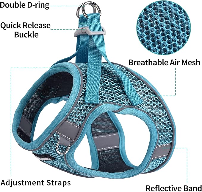 AIITLE Puppy Harness - Lightweight Air Mesh - Step-in Harness with Leash - No Pull, No Choke Padded Vest - Reflective for Small Dogs, Cats - Turquoise XXS