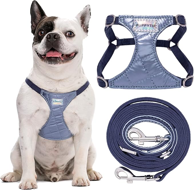 Puppytie No Pull Dog Harness with Multifunction Dog Leash,Soft Adjustable No Choke Escape Proof Pet Harness Vest for Medium Dogs,Glossy Galaxy Blue,M