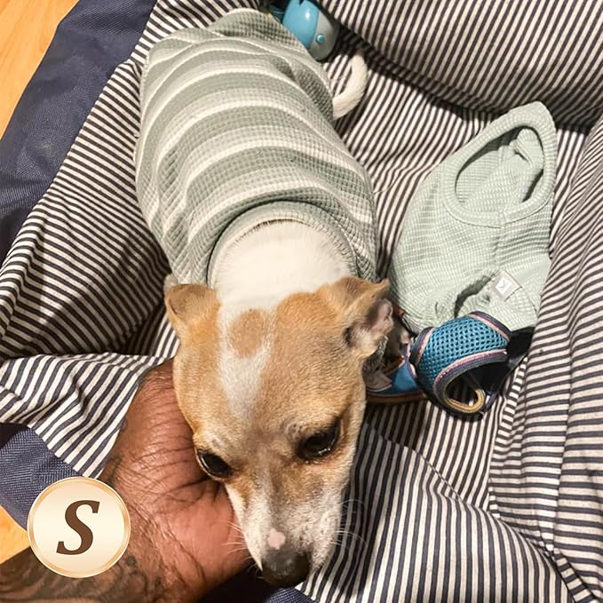 KYEESE 2Pack Dog Shirts Waffle for Small Dogs, Stretchy and Comfortable Dog T-Shirts, Lightweight Sleeveless Tank Top, Breathable Vest, Cat Shirt, Small, Purple + Grey