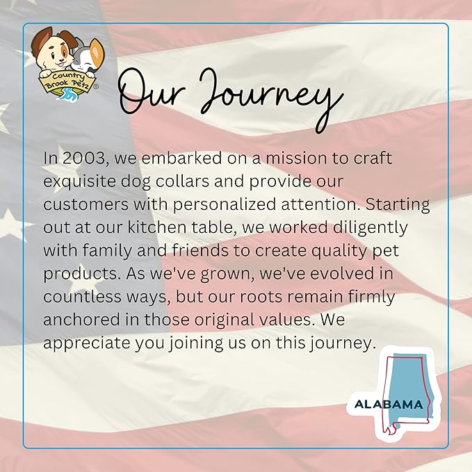 Country Brook Petz - Deluxe Sedona Stripes Dog Collar - Made in The U.S.A. - Country and Western Collection Featuring Rustic Designs (1 Inch, Medium)