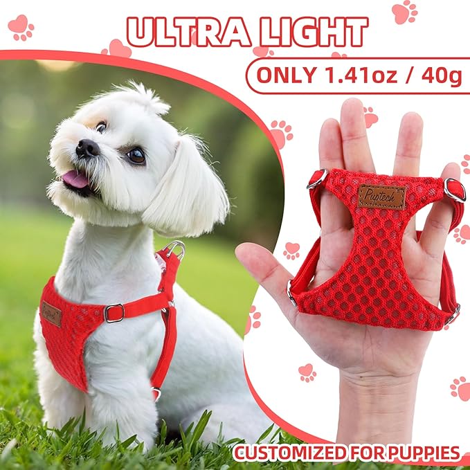 PUPTECK Dog Harness and Leash Set Small Sized, Step-in Cute Puppy Harness, Soft Lightweight Padded Vest, Escape Proof No Pull Pet Harnesses Easy for Walking, Red, XS