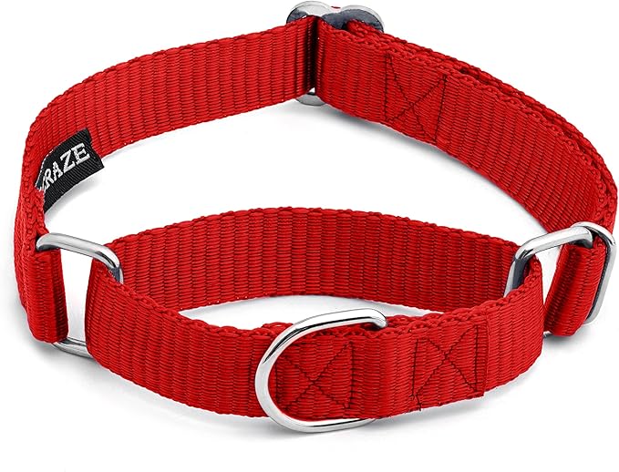 Martingale Dog Collar - Heavyduty Nylon Dog Collar with No Buckle Dog Training Collars for Medium Dogs (Red, Small)