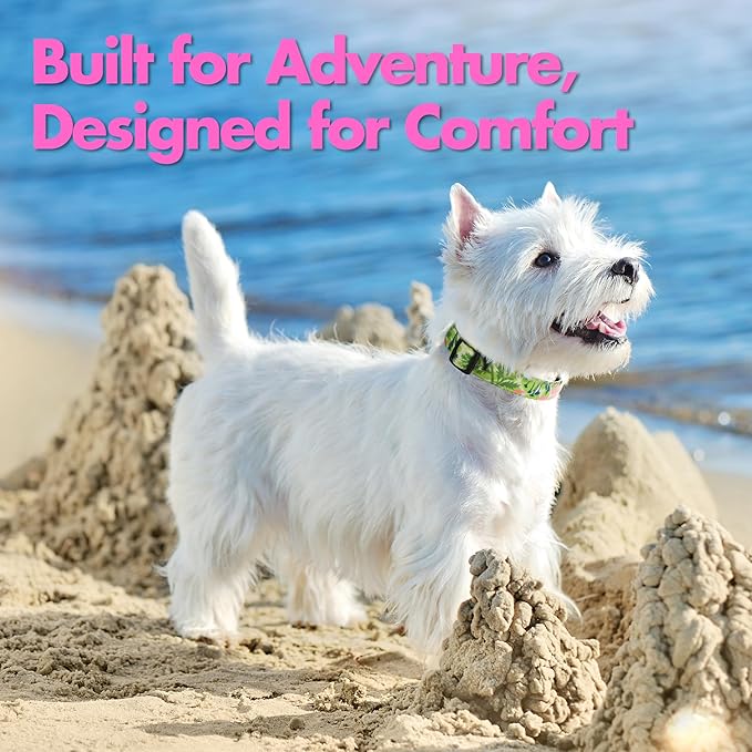 Small Dog Collar with Reflective Logo and Soft Padded Neoprene,Summer Tropical Leaf Design, Adjustable,Lightweight & Durable, Neck Size 9’’-14’’ (Leaf, S)