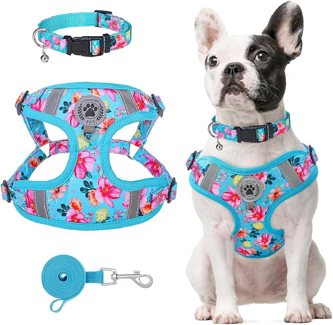 BEAUTYZOO Dog Harness Collar and Leash Set, No Pull Step in Pet Harness for Small Sized Dogs, Adjustable No Escape Puppy Vest Harnesses Outdoor Walking Running, Soft Reflective Vest, Blue XS