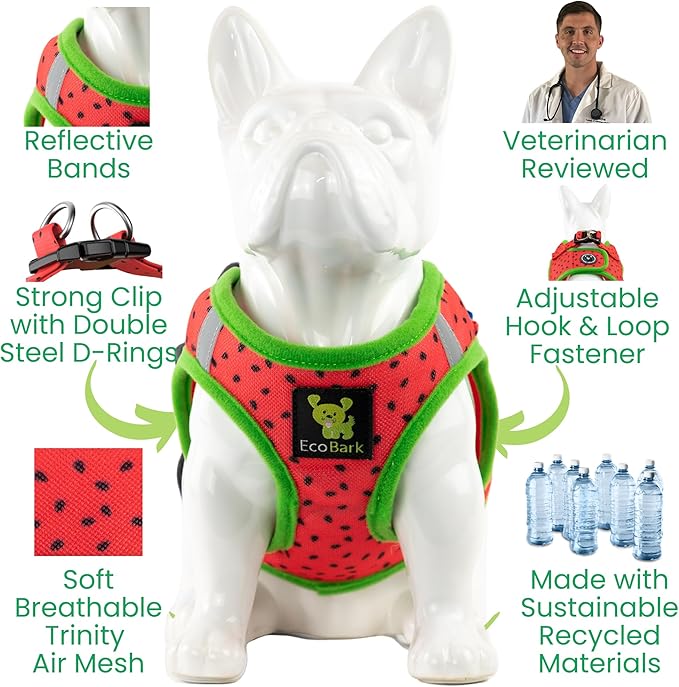 EcoBark Step in Dog Harness - Extra Small Reflective Soft Luxury Mesh - Ultra Padded Mesh - Comfortable & Secure Halter Vest - No Pull Adjustable Pet Vest (Extra Small, Watermelon)