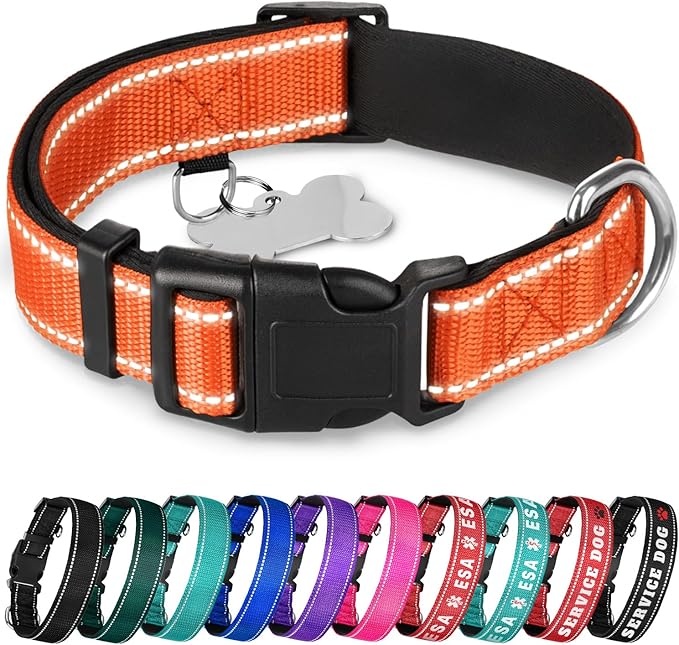 TECEUM Reflective Pet Collar – Orange – XL – Extra Soft Padding – Basic Nylon Dog Collar – Quick Release Buckle – Fits Small, Medium and Large Dogs, Puppies, Cats – ESA & Service Dog Options