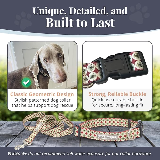 Lucky Love Dog - Easy Click Buckle Dog Collar with Leash Set Combo, Durable & Comfortable Collar for Male & Female Dogs, Pet Collar for Small to Large Dogs, Secure Fit - Pongo Combo, Large