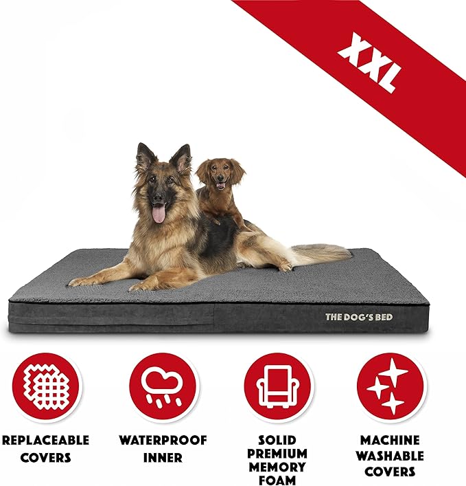 The Dog’s Bed Orthopedic Memory Foam Dog Bed, 2XL Grey Plush 54x36x4, Pain Relief for Arthritis, Hip & Elbow Dysplasia, Post Surgery, Lameness, Supportive, Calming, Waterproof Washable Cover
