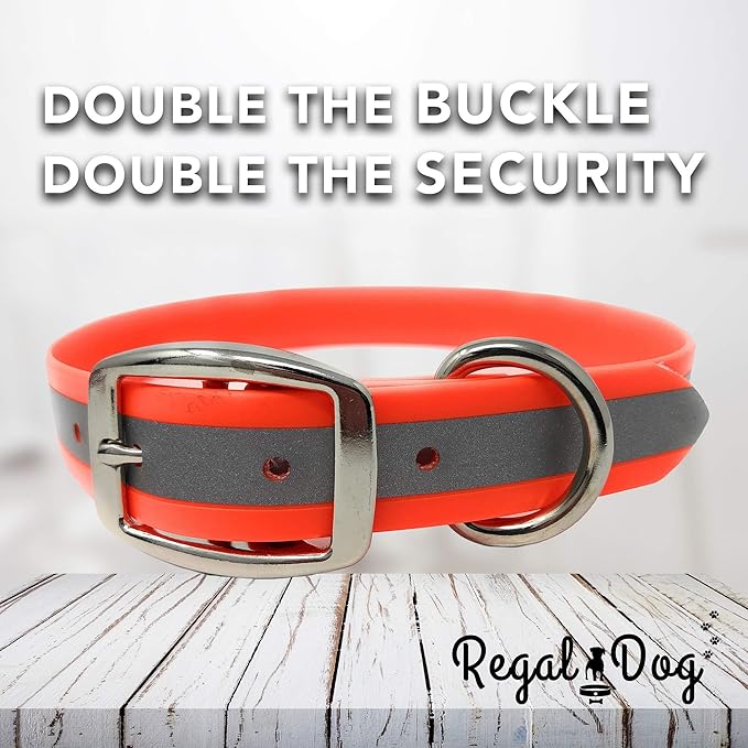 Regal Dog Products Small Orange Reflective Dog Collar and Leash Set - Waterproof Biothane Dog Collar with Heavy Duty Double Buckle, D Ring & 5ft Leash - Other Size for Medium & Large Dogs