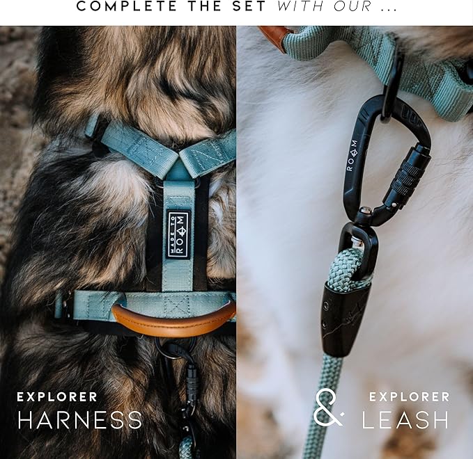 Made to ROAM Premium Dog Collar - Adjustable Heavy Duty Nylon Collar with Quick-Release Metal Buckle (Nevada Evening, Classic Size 1)