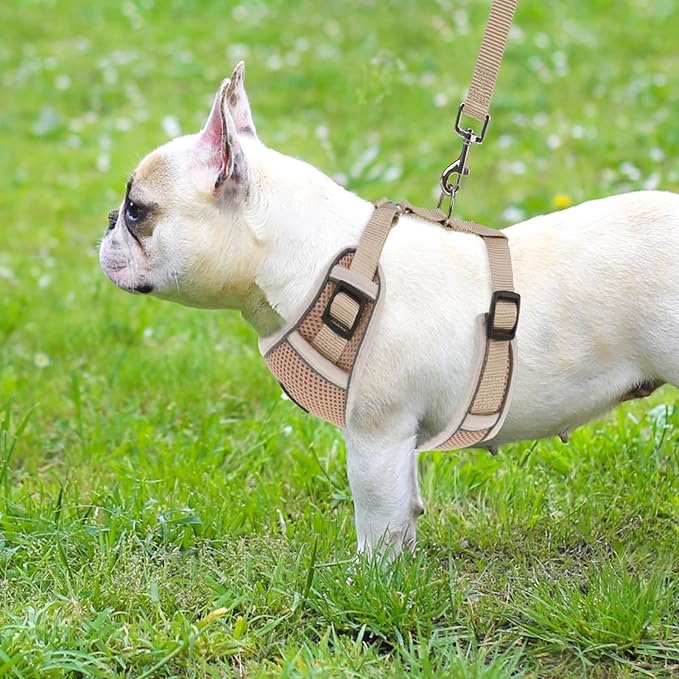 PUPTECK Dog Harness and Leash Set for Small Medium Dogs No Pull, Soft Mesh Adjustable Puppy Cat Harness Reflective at Night, Khaki M