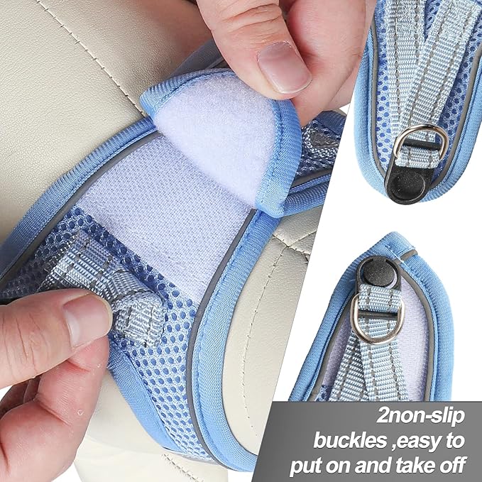 Dog Harness for Small Dogs and Leash Set, Honeycomb Grid, Reflective Lightweight Harness & Anti-Twist Pet Lead Multi Color, Size: XS-S-M. (M, Aqua Blue)