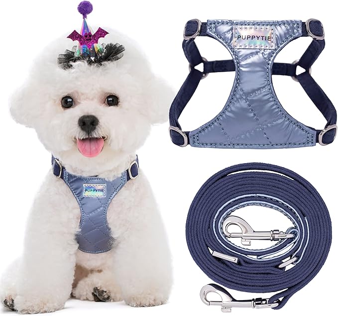 Puppytie No Pull Small Dog Harness with Multifunction Dog Leash,Lightweight Soft Adjustable No Choke Escape Proof Pet Harness Vest Pet Harness Vest,Glossy Galaxy Blue,S