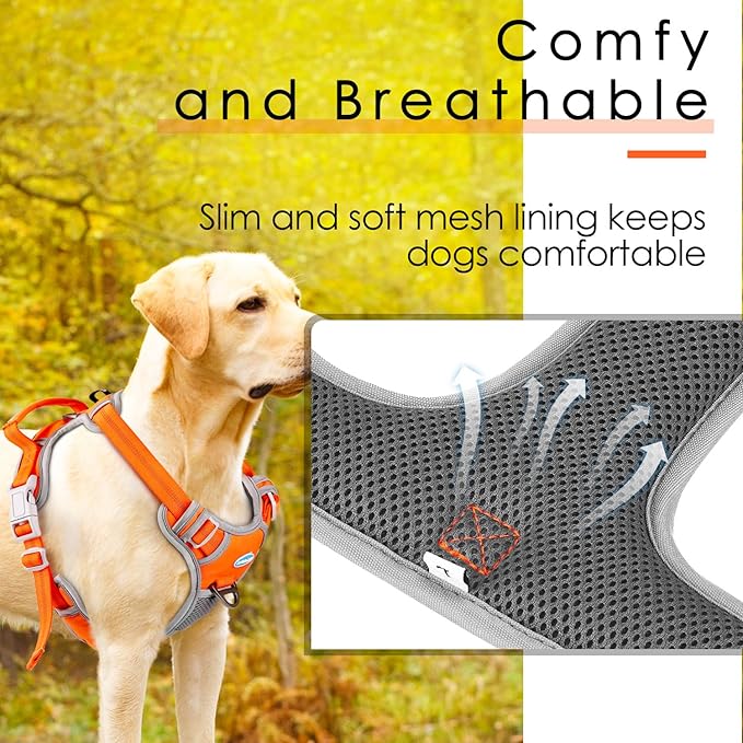 ThinkPet No Pull Harness Set Breathable Sport Harness with Handle - Reflective Padded Dog Safety Vest with Reflective Neon Dog Leash XL Harness Leash Pack Orange