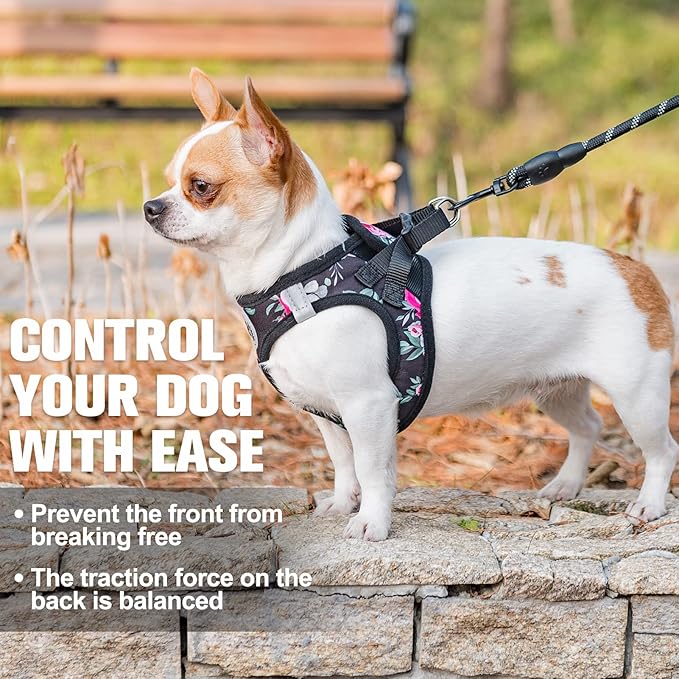 BEAUTYZOO Step in Dog Harness and Leash Set, Floral Pattern Reflective Dog Harness No Pull No Choke Puppy Harness for XXS XS S Dogs Cats, Soft Padded Mesh Vest Harnesses for Girl and Boy Pets