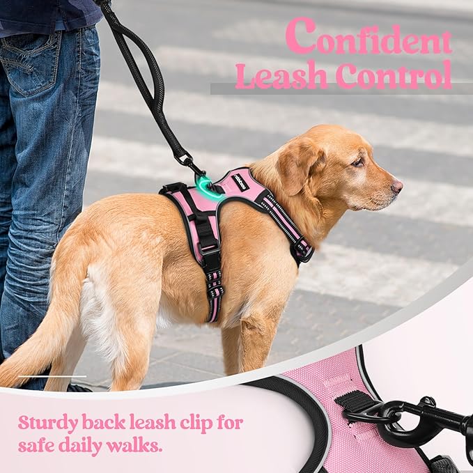 rabbitgoo Dog Harness No Pull with 2 Leash Clips, Adjustable Soft Padded, Reflective Oxford No Choke Pet Vest with Easy Control Handle for Small Dogs, Pink, S