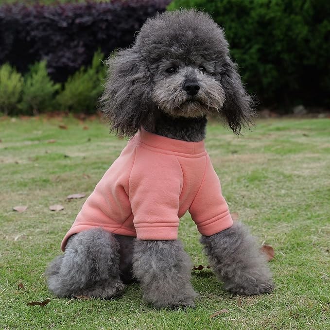 Lovelonglong Sweatshirt Cold Weather Pullover Autumn and Winter T-Shirts for Small Medium Large Size Dogs Lobster-Pink XS