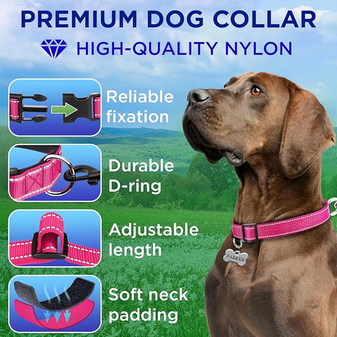 TECEUM Reflective Pet Collar – Hot Pink – M – Extra Soft Padding – Basic Nylon Dog Collar – Quick Release Buckle – Fits Small, Medium and Large Dogs, Puppies, Cats – ESA & Service Dog Options