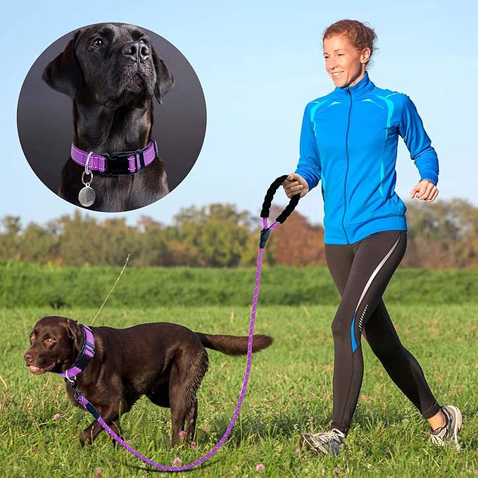 Reflective Dog Collar Padded with Soft Neoprene Breathable Adjustable Nylon Dog Collars for Small Medium Large Dogs (Small (Pack of 1), Purple Collar+Leash)
