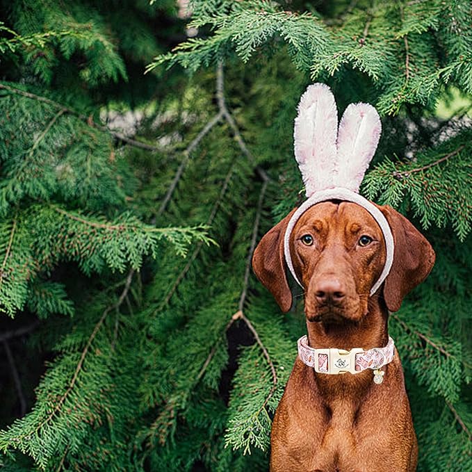 Elegant little tail Easter Dog Collar,Bunny Pattern Pet Collar Pink Durable Holiday Female or Male Adjustable Cotton Pet Collar with Quick Release Buckle for Small Dogs