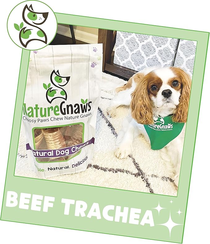 Nature Gnaws Beef Trachea Chews for Dogs 3" (12 Count) - Long Lasting Natural Crunchy Dog Chew Bones - Rawhide Free