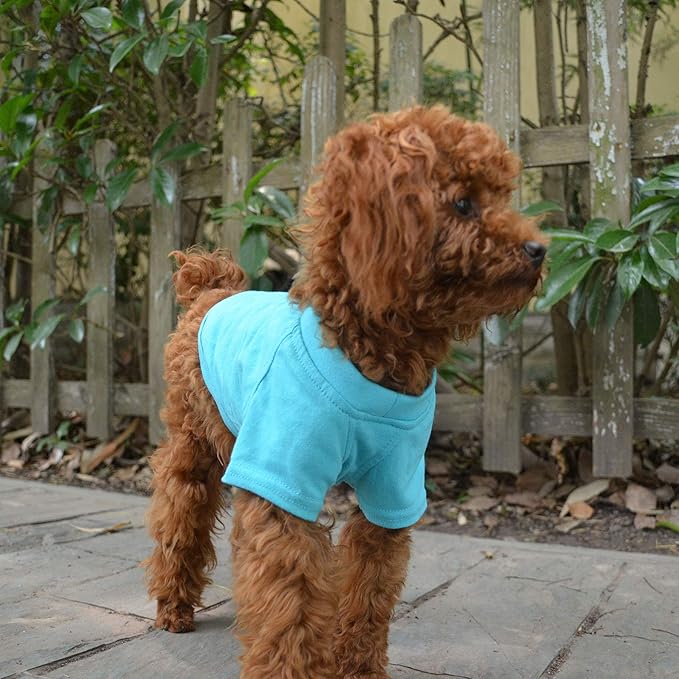 Lovelonglong Pet Clothing Dog Costumes Basic Blank T-Shirt Tee Shirts for Small Dogs Turquoise M