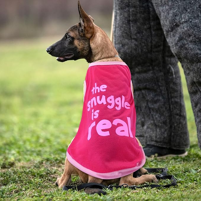 Jexine 6 Pack Chihuahua Dog T Shirt Girl Dog Puppy Clothes Breathable Outfit Pet Costume Summer Cat Clothes Dachshund Puppy Accessories Printed Shirts(Large)