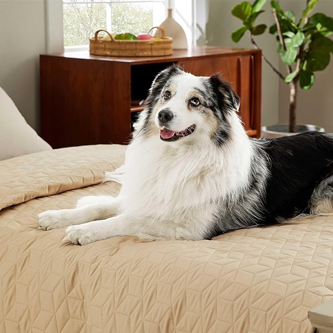 Bedsure 100% Waterproof Bed Cover for Dogs Washable - Non Slip Waterproof Dog Blanket for Bed, Lightweight Furniture Protector Durable for Pet Cat Puppy with Non-Slip Bottom, Beige, 82x102IN