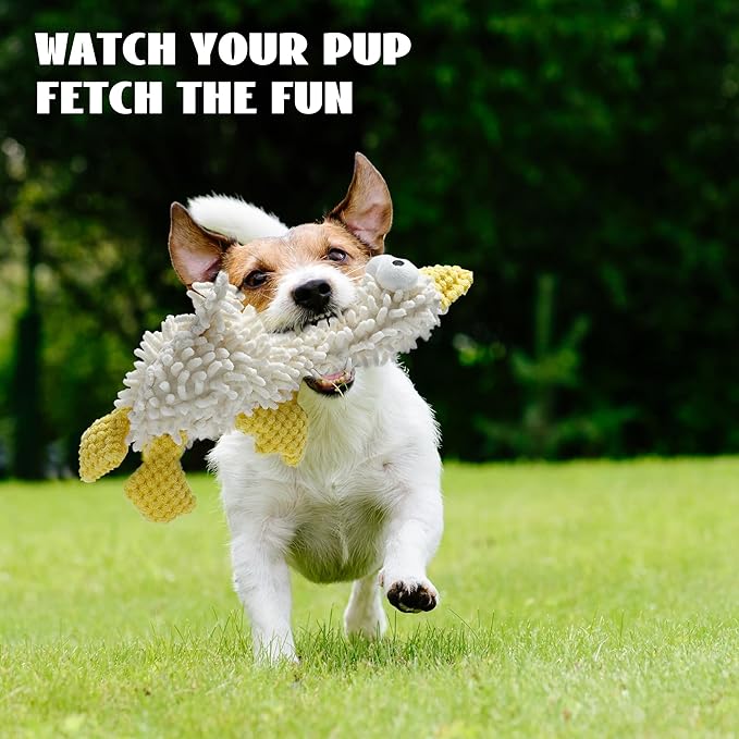 Nocciola Small Medium Large Dog Toys, Cute Soft Squeaky Crinkle Plush Stuffed Durable Pet Teething Animal Chew Toys for Small to Large Breed, Cognitive Stimuting Boredom Puppy Birthdays Gifts