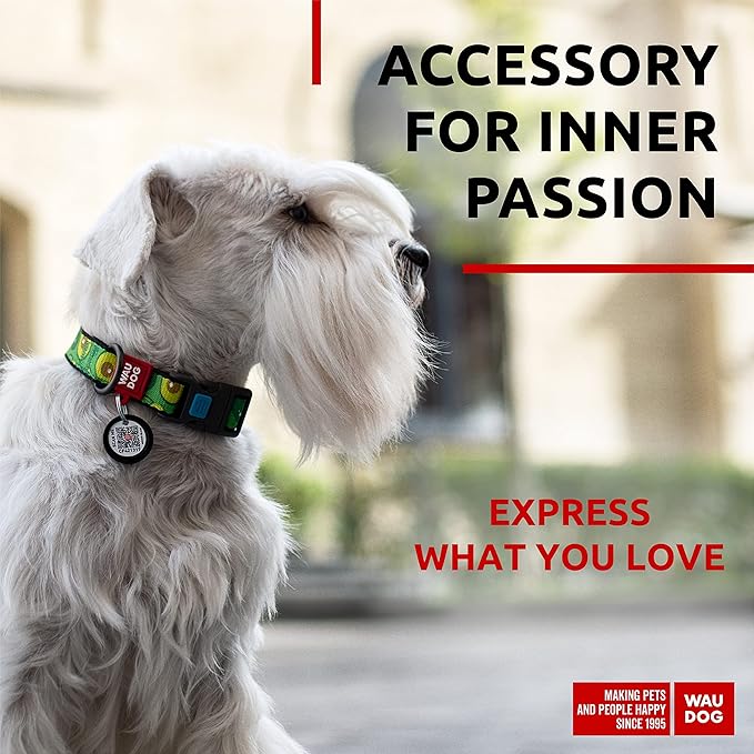 WAUDOG Nylon Dog Collar - Adjustable Dog Collar for Large Dogs, Small & Medium Dogs - Breakaway Puppy Collars for Large Breed Dogs - Boy & Girl Dog Collars with Durable Plastic Buckle and QR Dog Tag