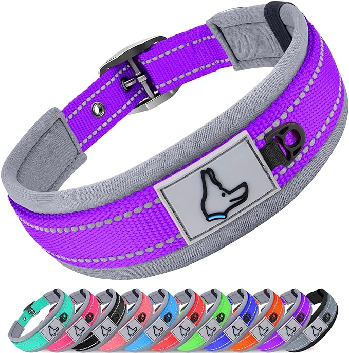 Joytale Dog Collar for Small Dogs, Neoprene Padded and Adjustable, Reflective Wide Heavy Duty Pet Collars with Durable Metal Belt Buckle for Walking, Purple, S