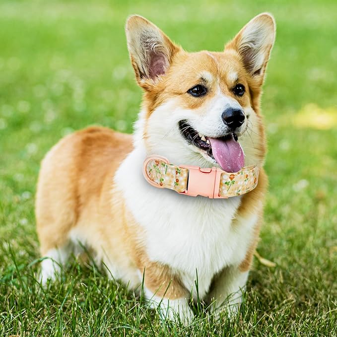 Dog Collar and Leash Set Girls Adjustable Puppy Collars with Floral Bow Tie for Small Medium Large Female Dogs, YellowFlower, L