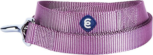 Blueberry Pet Essentials Durable Classic Dog Leash | Basic Nylon Dog Leash | 4ft. x 1" Large Dog Leash | Purple Dog Leash | Standard Dog Leashes & Lightweight Dog Leash for Training