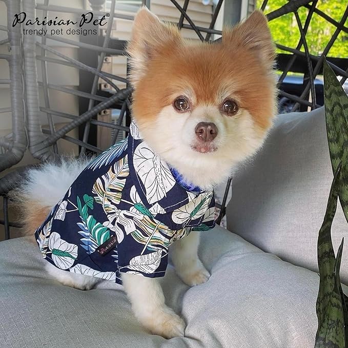 Parisian Pet Palm Leaves Dog Shirt - 100%Cotton Summer Clothes - Stylish Beach Outfit - Hook and Loop Closure - Machine Washable for Medium Dogs - M