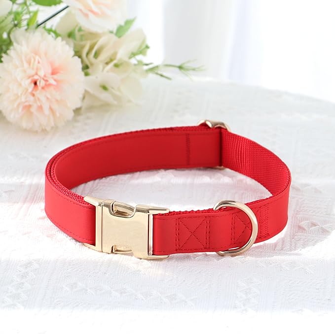 PET ARTIST Bright & Classic Leather Dog Collar, Durable & Heavy Duty Dog Collars with Quick Release Metal Buckle, Adjustable Nylon Padded Pet Collar for Small Dogs Girl, Neck Fit 9-14"