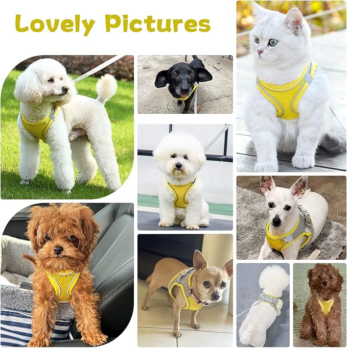 Soft Small Dog Harness and Leash Set Mesh Puppy Harnesses Leash Easy Walk Dog Harness Vest Adjustable Reflective No Pull Dog Harnesses for Small Dogs Cats (Yellow Grey,M)