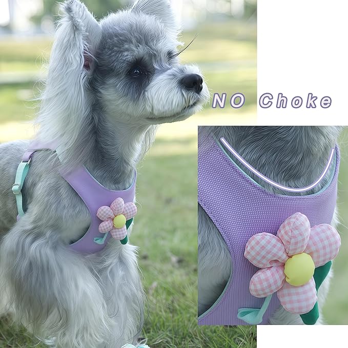 Cute Dog Harness and Leash Set with 2 Flower Patches, Step in Puppy Harness, No Chock Dog Vest for Small Medium Dogs Puppy and Cats(Purple, L)