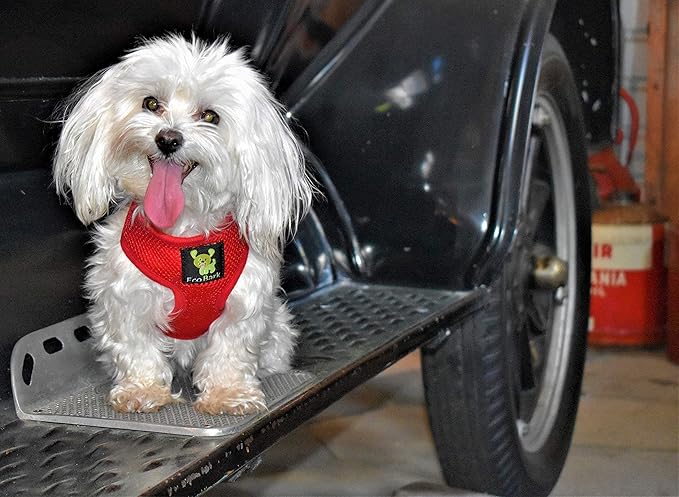 EcoBark Dog Harness - Eco-Friendly Max Comfort Harnesses - Luxurious Soft Mesh Halter - Over The Head Harness Vest- No Pull and No Choke for Extra Small, Toy Breed, and Teacup Dogs (XS, Red)
