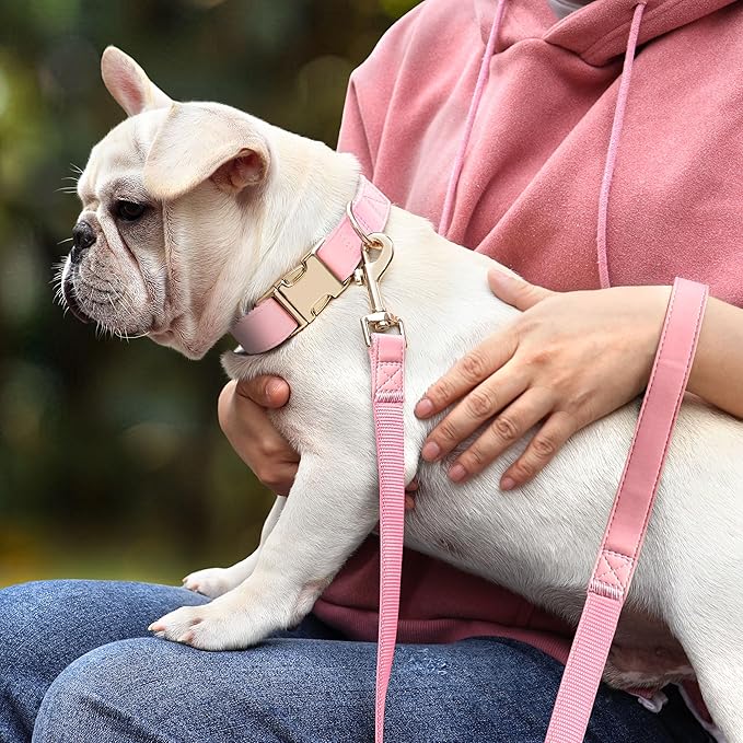 PET ARTIST Bright & Classic Leather Dog Collar, Durable & Heavy Duty Pink Dog Collar with Quick Release Metal Buckle, Adjustable Nylon Padded Pet Collar for Small Dogs Girl, Neck Fit 9-14"