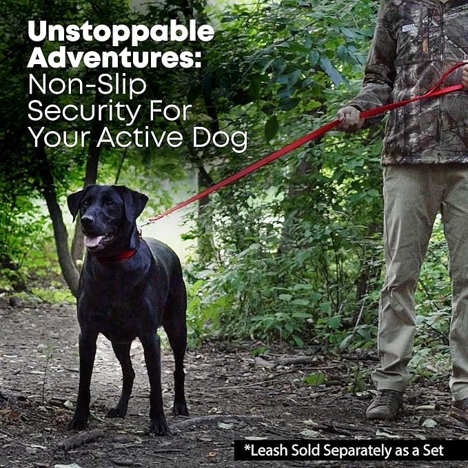 Regal Dog Products Medium Red Waterproof Dog Collar and Leash Set | Heavy Duty Double Buckle & D Ring - 5'ft Leash | Adjustable Biothane Dog Collar | Chew Resistant Waterproof Collar for Dogs