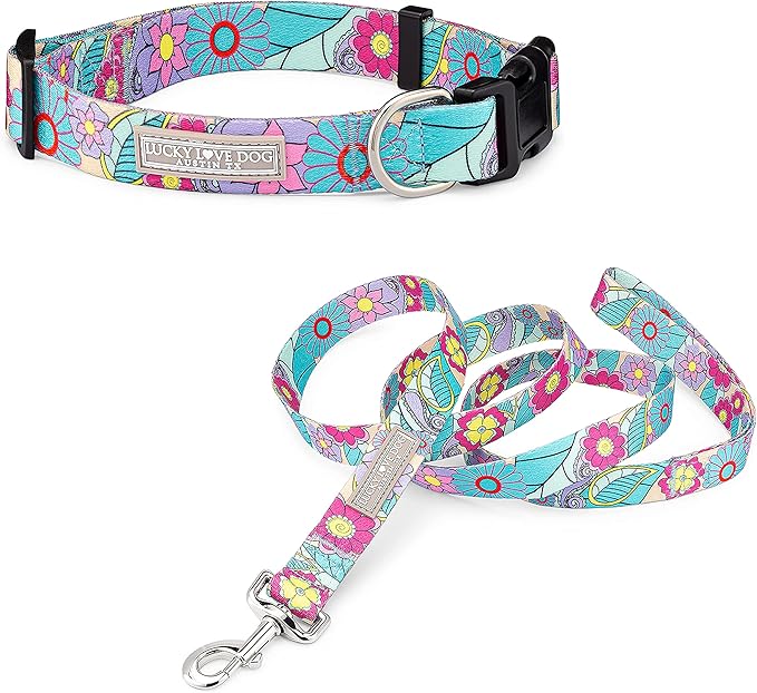 Lucky Love Dog Collar and Leash Combo, Cute Collar and Leash Set for X-Small Female Dogs, Part of Purchase Donated to Rescue (XS, Caroline, Combo)