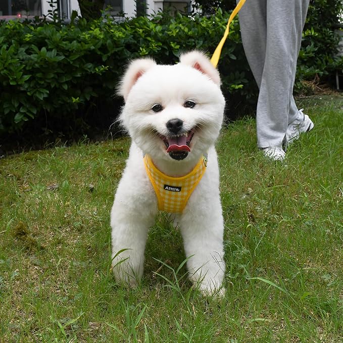 AIITLE Adjustable Dog Harness and Leash Set, Step in No Pull Pet Harness, Soft Mesh Reflective Plaid Vest Harnesses for Small Dogs Puppy and House Cats Outdoor Walking Running Yellow XS