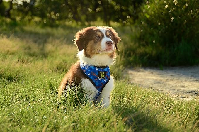 EcoBark Dog Harness - Eco-Friendly Max Comfort Harnesses - Luxurious Soft Mesh Halter - Over The Head Chest Harness Vest- No Pull and No Choke for Puppy, Toy Breeds & Small Dogs (Small, Nautical)