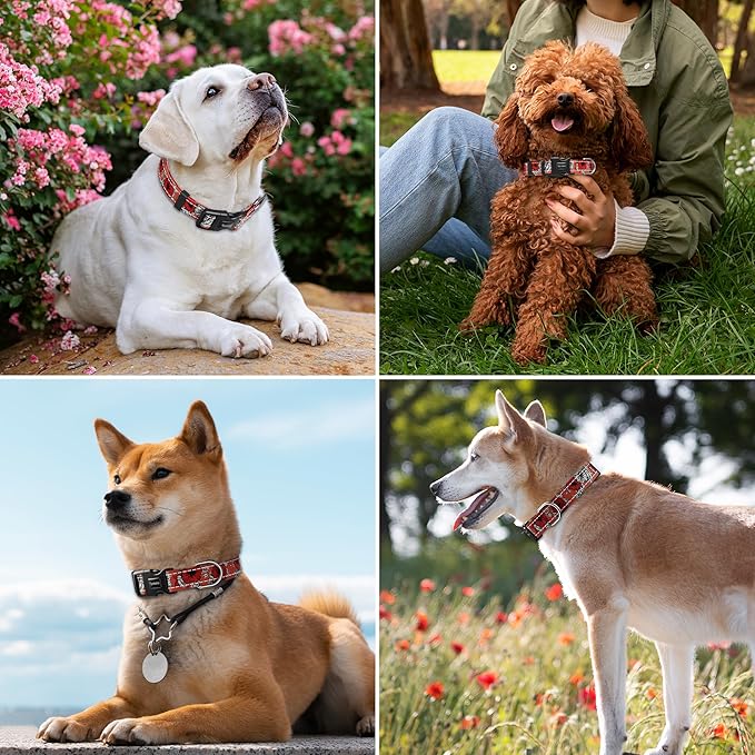 Tpotato Reflective Combination Pattern Girl Dog Collar for Puppy Small Medium Large Breed Dogs,Female Cute Floral Designer Dog Collars,Adjustable Soft Nylon Pet Collar,Quick Release Dog Collar XL